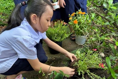 TRƯỜNG TIỂU HỌC NGUYỄN TRÃI TƯNG BỪNG TỔ CHỨC HOẠT ĐỘNG TRỒNG CÂY NHÂN KỶ NIỆM NGÀY SINH CHỦ TỊCH HỒ CHÍ MINH (19/5/2025)